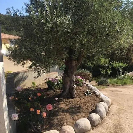 Σπίτι διακοπών Les Oliviers De Murateddu