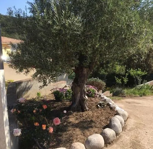 Hébergement de vacances Les Oliviers De Murateddu