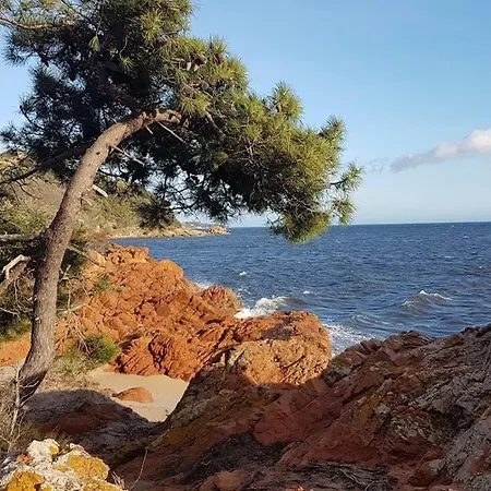 בית נופש Les Oliviers De Murateddu פורטו-וישיו